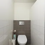 Semesterbostad Tine Boshuisje Veluwe