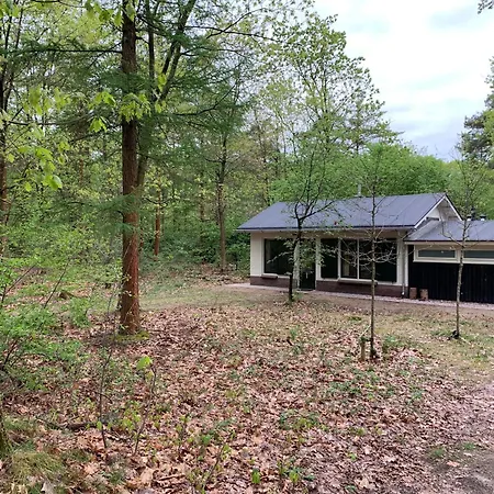 Tine Boshuisje Veluwe Holiday home Otterlo