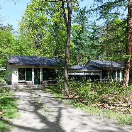 Tine Boshuisje Veluwe Semesterbostad *