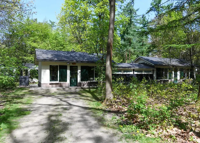 Tine Boshuisje Veluwe Semesterbostad